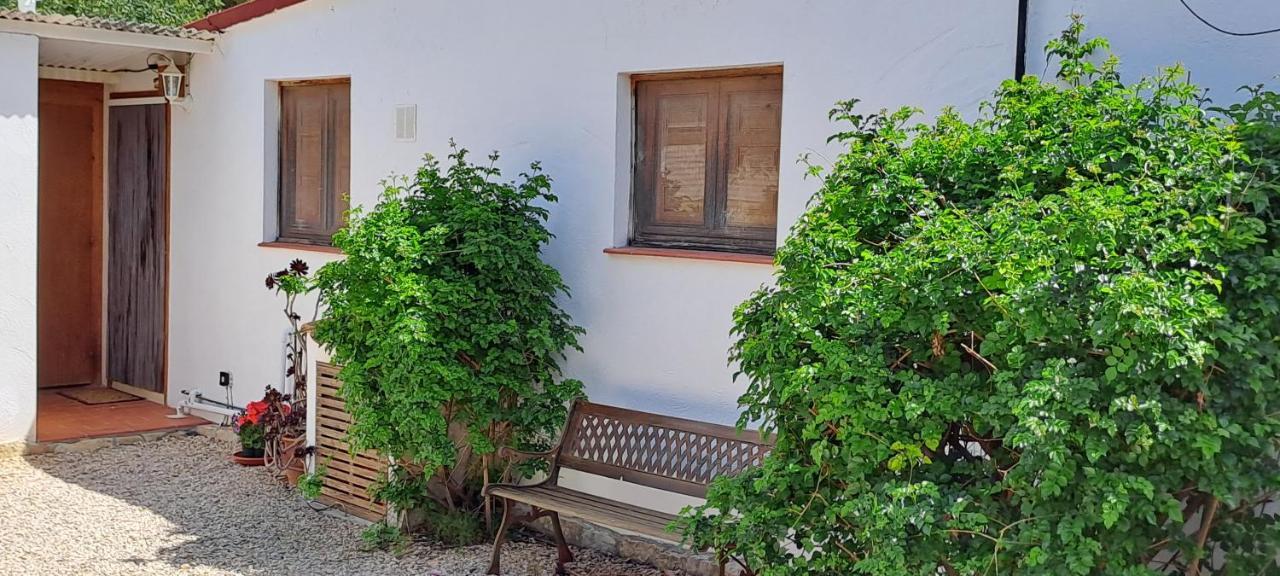 Finca Gamundi L'Ampolla Exteriör bild