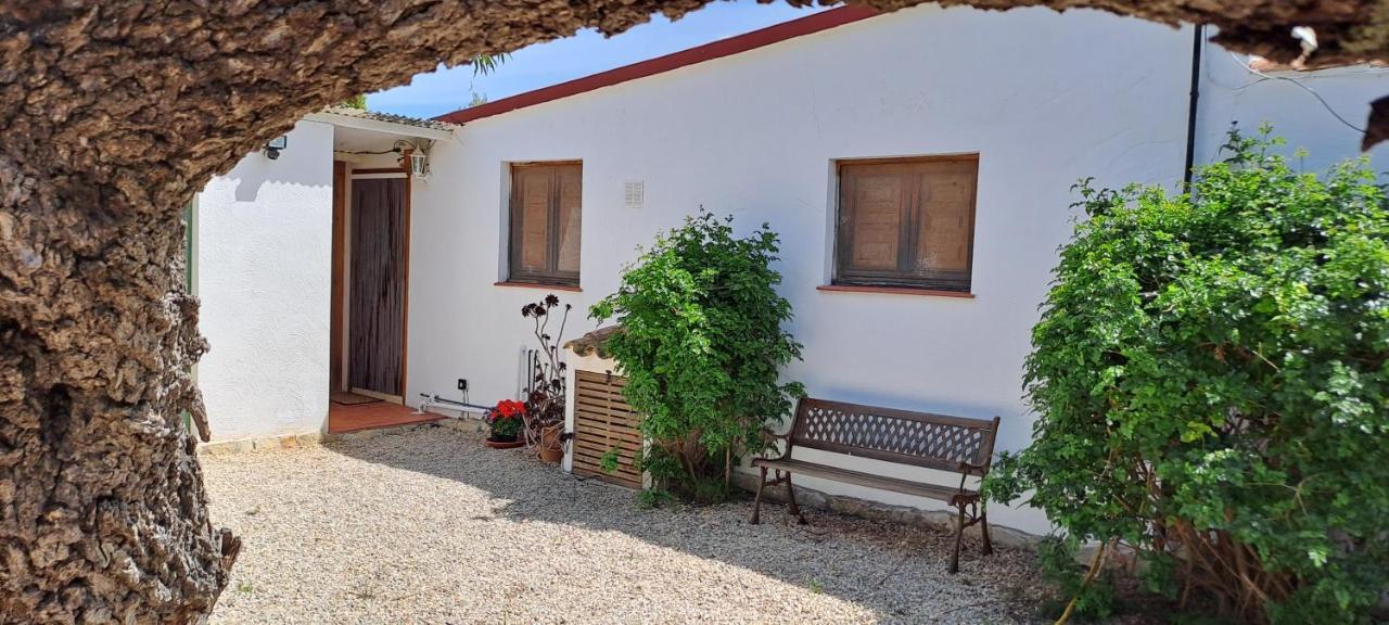 Finca Gamundi L'Ampolla Exteriör bild